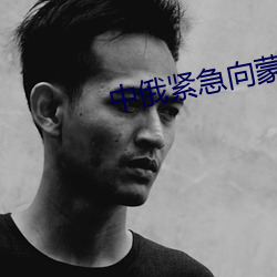 中俄緊急向蒙古國出口汽油