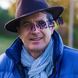 小说言情