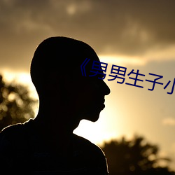 《男男生子小说