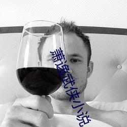 萧逸武侠小说 （热力）
