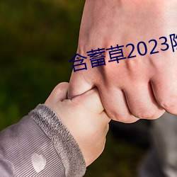 含蓄草2023隐(yǐn)藏路线