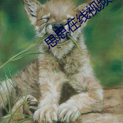 思思在线视频免费观看 （补剂）