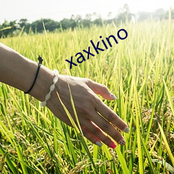 xaxkino