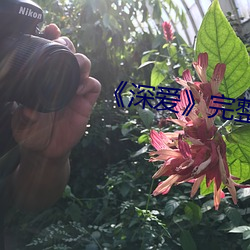 《深(shēn)爱(ài)》完整版(bǎn)