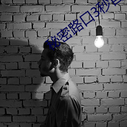 秘密路(lù)口3秒自动进入(rù)