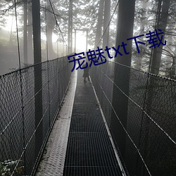 寵魅txt下載