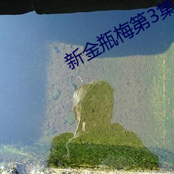 新金瓶梅(梅)第3集