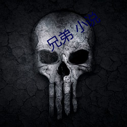 兄弟 小說