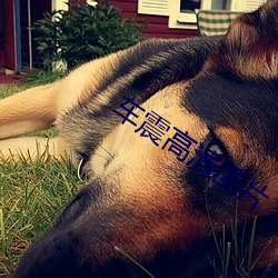 金年会 | 诚信至上金字招牌