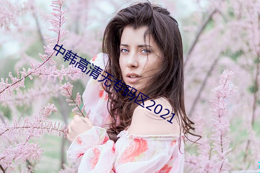 中韓高清無專碼區2021