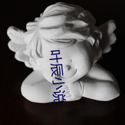 叶辰(辰)小说(說)