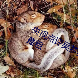 央視點評吳夢夢挑戰這輩子遇到最大最粗