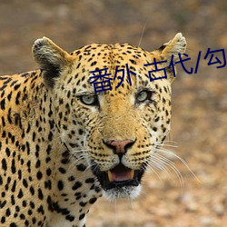 番外 古代/勾人小公子主動求C