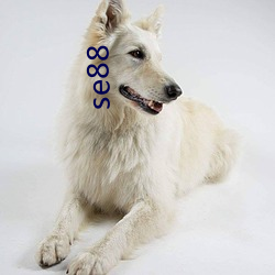 se88