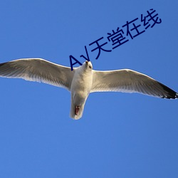 √天堂在線