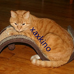 xaxkino