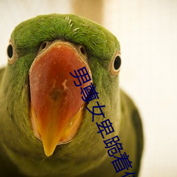 男尊女卑(bēi)跪着侍奉h