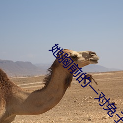 她胸前的一对兔子弹跳出来