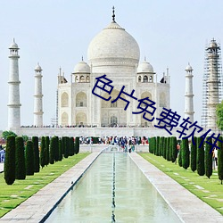 色片免费软件下载 （积功兴业）