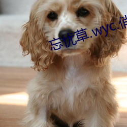 忘憂草.wyc.俏佳人