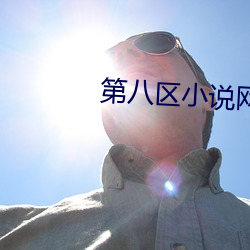 第八区小说(說)网(網)