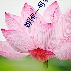 凯时|AG(AsiaGaming)优质运营商