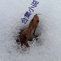 合集小说 （九鼎一丝）