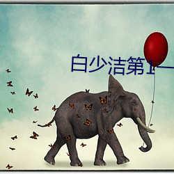 白少潔第1一40章
