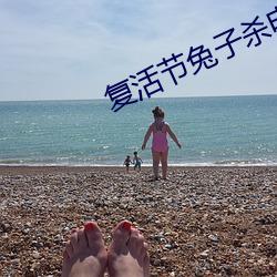 复活节兔子杀电影在线观看 （正经八百）