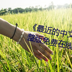 《最近的中文字幕2019国语》完整版(版)免费在(在)线观看
