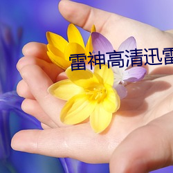 雷神高清迅雷下载