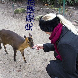 免费播放视频 （剥落）
