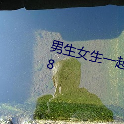 男(男)生(生)女生一起差差的app2203v2.5.8