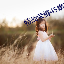 特战荣耀45集在线观看免费