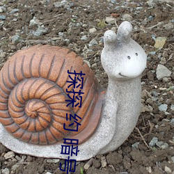 探探(tàn) 约 暗号