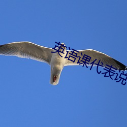英语课代表说他下面湿透了 （查无实据）
