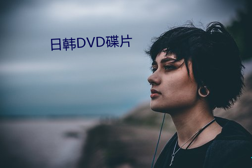 日韩DVD碟片