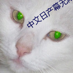 中文日产幕无限码一二区