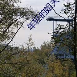 年轻的姐夫2