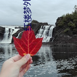 红楼梦外传肉1一13贾政黛 （不期而然）