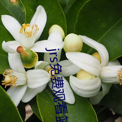 jrs免费(費)观看(看)篮球直播