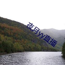 夜月(月)yy直(直)播(播)