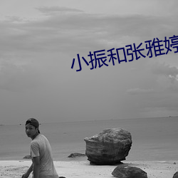 小振和张雅婷老师小说