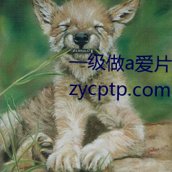 一(一)级做a爱片(片)久久毛片(片)免费(費) www.zycptp.com