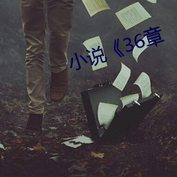 小說《36章