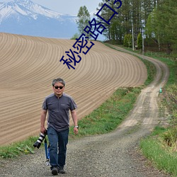 秘密路口3秒自動進入