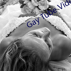 Gay Tube Video