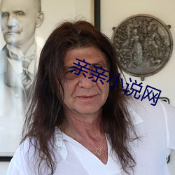 亲亲小说网