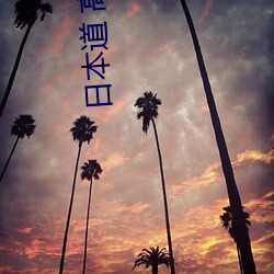 日本道 高清一(一)区(區)二区三(三)区在(在)线观看(看)