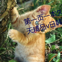 第一(yī)页一本久(jiǔ)久综(zōng)合亚洲鲁鲁五月天精品v日韩精品v国产